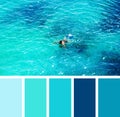 Man swimming in the sea. colour palette swatches.