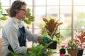 Man taking care of her potted plants at home, gardening, planting at home