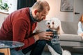 Man is taking care of his maltese dog. Girl is sitting on the sofa Royalty Free Stock Photo