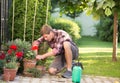 Man taking care of plants in garden