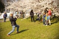 Man taking photo of his family under japanese cherry tree in spring in Vilnius, Lithuania, Europe
