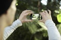 Man taking photo picture by mobile phone in a travel journey, green plants in a park. Focused on phone screen Royalty Free Stock Photo