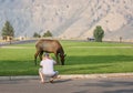 Man taking photos of an elk at Yellowstone Park