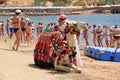 Man taking pictures with camel Royalty Free Stock Photo