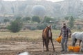 man taking tending to his horses