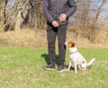 a man teaches commands to his dog