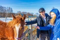 Man and teenage girl with horse at ranch in winter sunny day. Father and daughter spending winter weekend at farm. Trip to Royalty Free Stock Photo