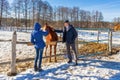 Man and teenage girl with horse at ranch in winter sunny day. Father and daughter spending winter weekend at farm. Trip to Royalty Free Stock Photo