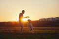 Man throwing flying disc for his dog Royalty Free Stock Photo