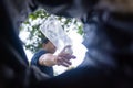 Man throws garbage into a garbage can on the street. With a worm view from the inside of the trash bin. Selective focus Royalty Free Stock Photo