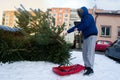 A man throws an old Christmas tree, which he brought on a plastic sleigh to waste containers.