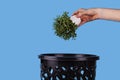 A man throws out a potted flower Royalty Free Stock Photo