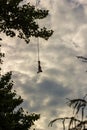 A man tied to a rope upside down doing bungee jump while holding an action camera Royalty Free Stock Photo