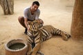 Man in Tiger temple in Thailand Royalty Free Stock Photo