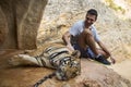 Man in Tiger temple in Thailand Royalty Free Stock Photo