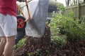 Garden waste being tipped out of wheel barrow