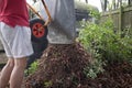 Man tipping dead leaves from a wheel barrow onto a compost heap with motion blur.