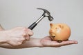 A man about to break open a ceramic piggy bank with a large hammer. Piggy bank is about to be hit by a hammer. Male hand with a Royalty Free Stock Photo