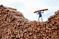 Man on top of pile of logs Royalty Free Stock Photo