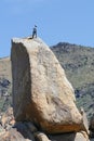 Man at the top of a rock. Royalty Free Stock Photo