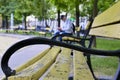 A man Tourist with backpack and mobile phone is resting on a bench in a city park.
