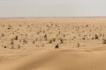 Man tourist in desert rub al khali Oman sitting sand view landscape
