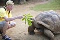 Man the tourist feeds a turtle