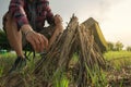 A man tourist making bonfire and set camping tent Royalty Free Stock Photo