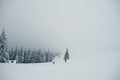 Man tourist photographer with backpack, at mountain with pine tr