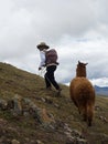 Man in traditional andean indigenous clothes hiking with alpaca at colorful Palccoyo rainbow mountain Palcoyo Cuzco Peru Royalty Free Stock Photo