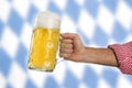 Man in traditional Bavarian shirt holds mug of beer Royalty Free Stock Photo