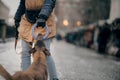 A man is training with a dog. Obedient Belgian Shepherd dog on the city Royalty Free Stock Photo