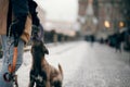 A man is training with a dog. Obedient Belgian Shepherd dog on the city Royalty Free Stock Photo