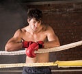 Man training gym boxing mma ring shadow boxing mixed martial art Royalty Free Stock Photo