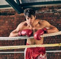 Man training gym boxing mma ring shadow boxing mixed martial art Royalty Free Stock Photo