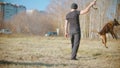 A man training his german shepherd dog - incite the dog on the target and making the dog jump