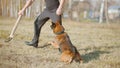 A man training his german shepherd dog - incite the dog on the target