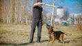 A man training his german shepherd dog outdoors - incite the dog on the grip bait