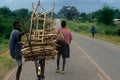 A man transporting a pile of wood on his bicycle.