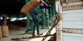 man transporting rice sack into the truck at agriculture produce market in India Royalty Free Stock Photo