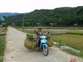 A man transports bales of rice on a motorbike in the Mai Chau valley, Vietnam