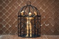 Man Trapped, Prisoner in Cage Royalty Free Stock Photo