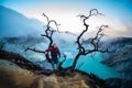 Man traveler standing near dead tree on edge of crater Ijen volcano with colorful sky at morning