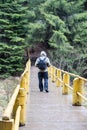 Man, a traveler walks across the bridge to the forest Royalty Free Stock Photo