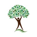 Man Tree Logo Design. Social Network Friends Royalty Free Stock Photo