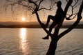 Man on tree. Silhouette of lone man sit on branch of birch tree at sunset at shoreline.