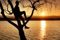 Man on tree. Silhouette of lone man sit on branch of birch tree at sunset at shoreline. Royalty Free Stock Photo