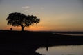 Man and tree silhouette