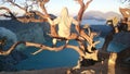 Man in the tree on top of the vulcano Mount Ijen, crater water