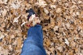 Man in trekking boots and jeans is walking on the ground with dryed orange leaves